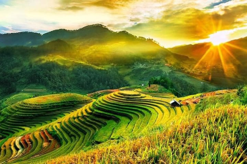 Image gallery